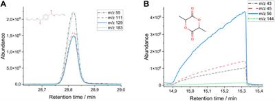 A promising approach to monitor microplastic masses in composts